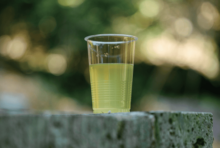 川根茶飲み放題